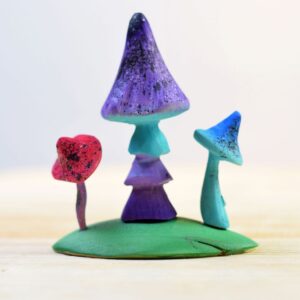 Magic Mushrooms Set