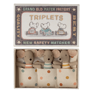 Triplets, Baby mice in matchbox (Preorder)
